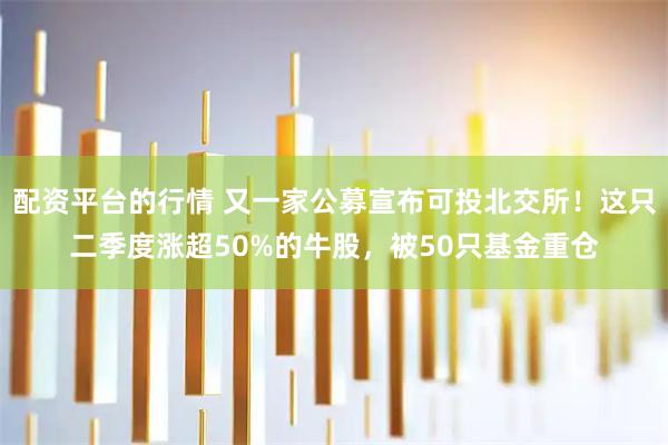 配资平台的行情 又一家公募宣布可投北交所！这只二季度涨超50%的牛股，被50只基金重仓
